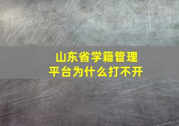 山东省学籍管理平台为什么打不开