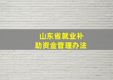 山东省就业补助资金管理办法