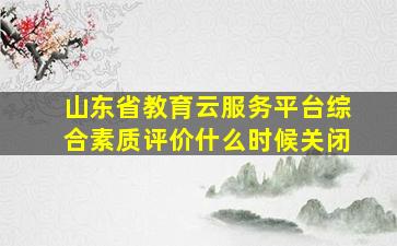 山东省教育云服务平台综合素质评价什么时候关闭