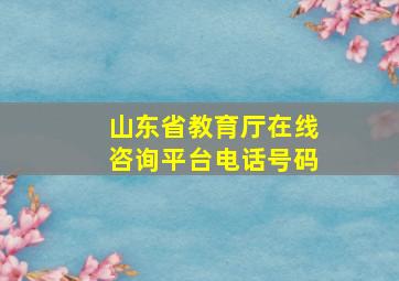 山东省教育厅在线咨询平台电话号码