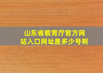 山东省教育厅官方网站入口网址是多少号啊