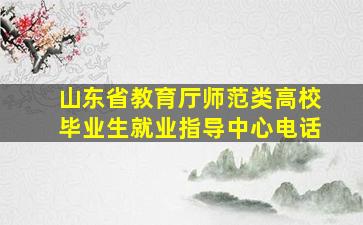 山东省教育厅师范类高校毕业生就业指导中心电话