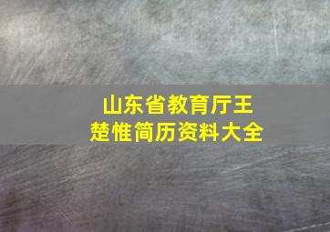 山东省教育厅王楚惟简历资料大全