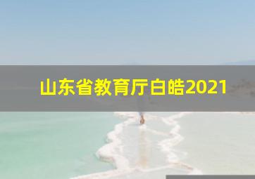 山东省教育厅白皓2021