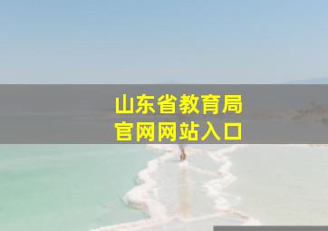 山东省教育局官网网站入口