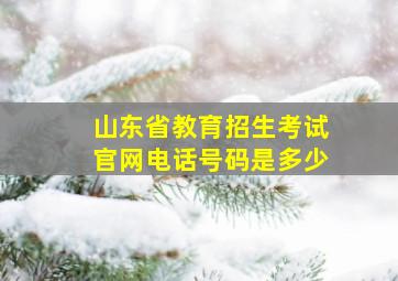 山东省教育招生考试官网电话号码是多少