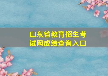 山东省教育招生考试网成绩查询入口