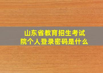 山东省教育招生考试院个人登录密码是什么