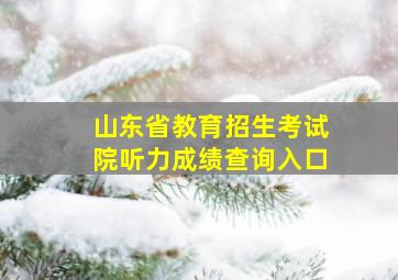 山东省教育招生考试院听力成绩查询入口