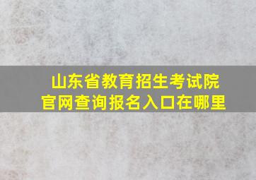 山东省教育招生考试院官网查询报名入口在哪里