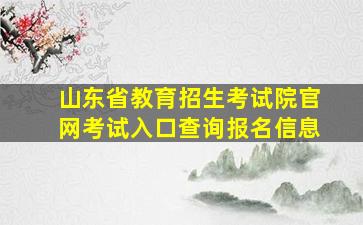 山东省教育招生考试院官网考试入口查询报名信息