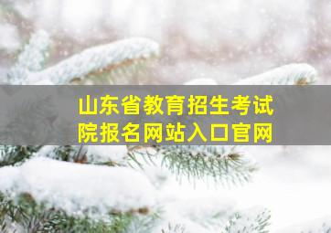 山东省教育招生考试院报名网站入口官网