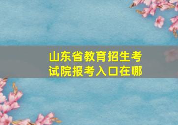 山东省教育招生考试院报考入口在哪