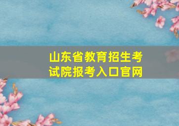 山东省教育招生考试院报考入口官网