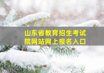 山东省教育招生考试院网站网上报名入口