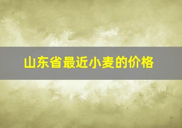 山东省最近小麦的价格