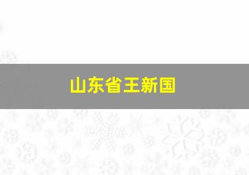 山东省王新国