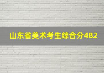 山东省美术考生综合分482