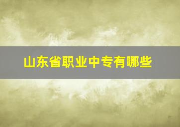 山东省职业中专有哪些