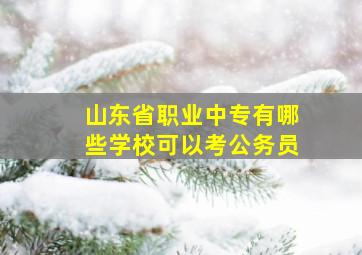 山东省职业中专有哪些学校可以考公务员