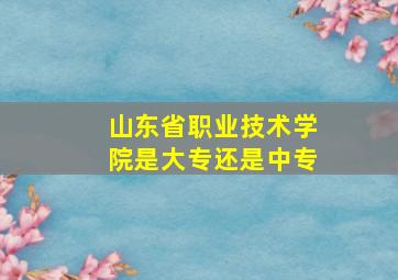 山东省职业技术学院是大专还是中专