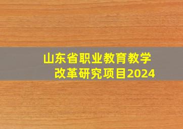 山东省职业教育教学改革研究项目2024