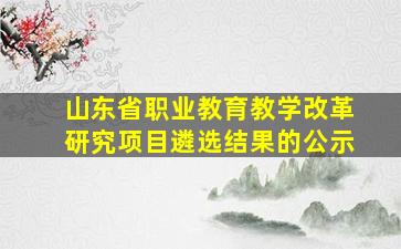 山东省职业教育教学改革研究项目遴选结果的公示