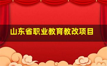 山东省职业教育教改项目