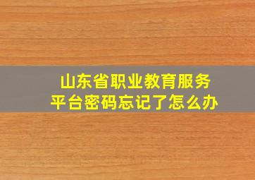 山东省职业教育服务平台密码忘记了怎么办