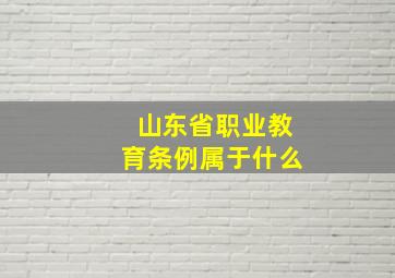 山东省职业教育条例属于什么