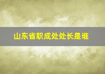 山东省职成处处长是谁