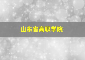 山东省高职学院