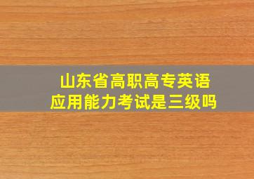 山东省高职高专英语应用能力考试是三级吗