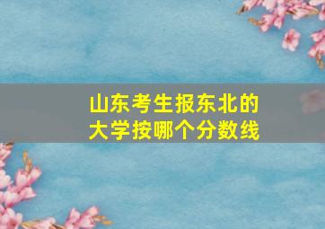 山东考生报东北的大学按哪个分数线