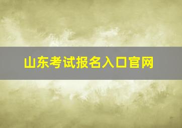 山东考试报名入口官网