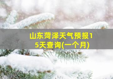 山东菏泽天气预报15天查询(一个月)