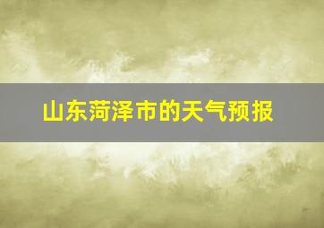 山东菏泽市的天气预报