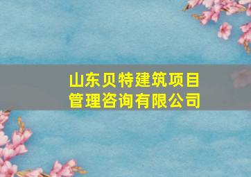 山东贝特建筑项目管理咨询有限公司