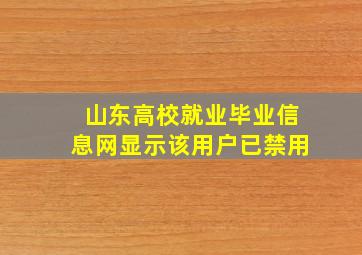 山东高校就业毕业信息网显示该用户已禁用