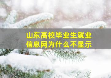 山东高校毕业生就业信息网为什么不显示