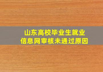 山东高校毕业生就业信息网审核未通过原因