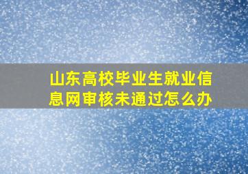 山东高校毕业生就业信息网审核未通过怎么办