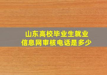 山东高校毕业生就业信息网审核电话是多少