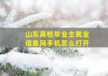 山东高校毕业生就业信息网手机怎么打开