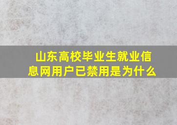 山东高校毕业生就业信息网用户已禁用是为什么