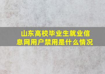 山东高校毕业生就业信息网用户禁用是什么情况