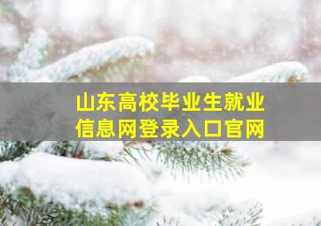 山东高校毕业生就业信息网登录入口官网