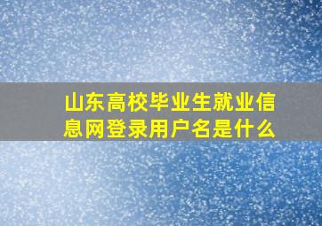 山东高校毕业生就业信息网登录用户名是什么