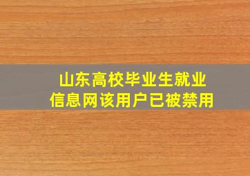 山东高校毕业生就业信息网该用户已被禁用