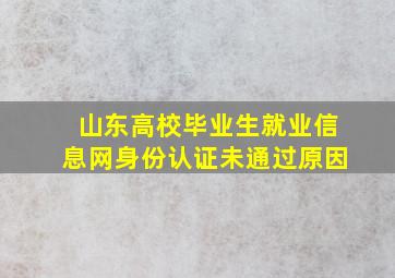 山东高校毕业生就业信息网身份认证未通过原因